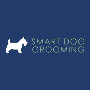 Kraken Creative Digital Servies - Smart Dog Grooming